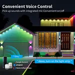 outdoor permanent lights